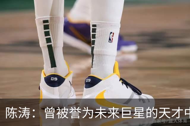 陈涛：曾被誉为未来巨星的天才中场，现任中甲陕西联合主教练
